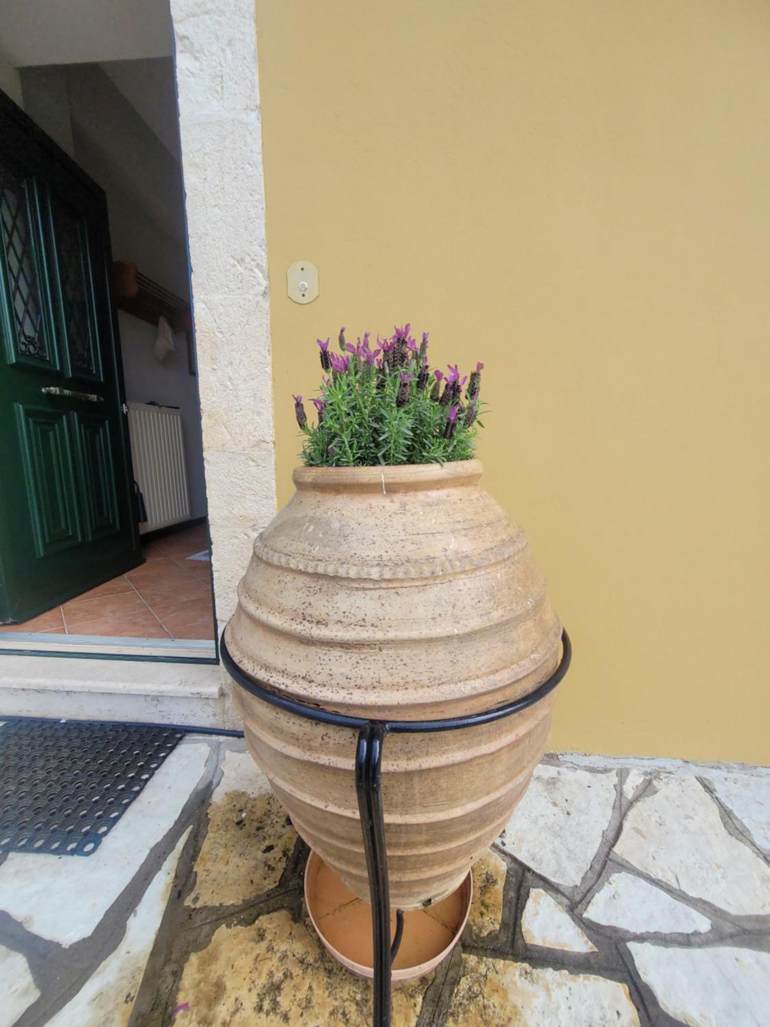 Palairos Historic Property 外观 照片